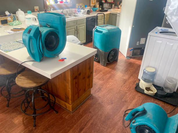 Best Water damage restoration near me  in Bradford, RI