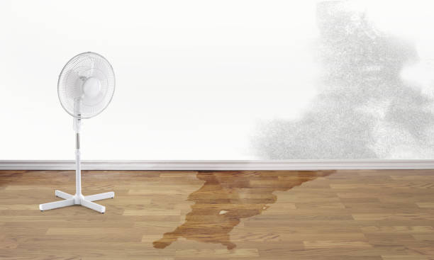 Water damage restoration mold remediation in RI