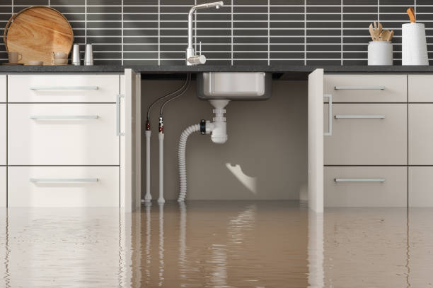 Best Water damage repair service  in Bradford, RI