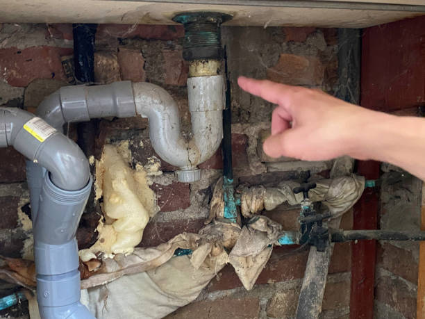 Best Water damage mitigation services  in Bradford, RI