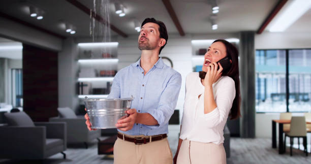 Best Flood damage cleanup  in Bradford, RI