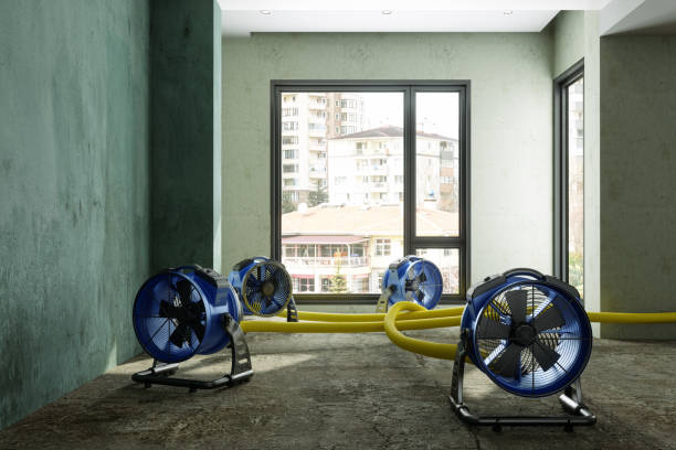 Best 24/7 water damage repair  in Bradford, RI