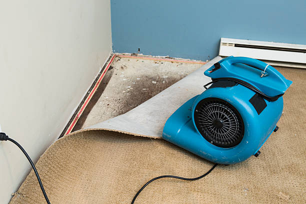Best Basement water damage restoration  in Bradford, RI